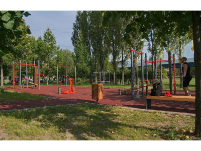 Польза кардио для организма: как тренировки влияют на здоровье